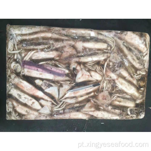 Todo o mar redondo Frozen Squid Todarodes Pacificus 150-200G